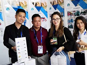 https://www.fstgenerator.com/news/chengdu-forster-technology-participates-in-the-16th-china-asean-expo/