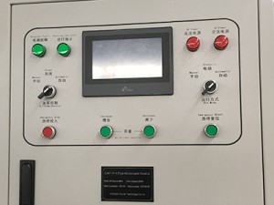 Pelton Turbine Generator